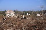 50_Indiaans boerderijtje, Quintana Roo